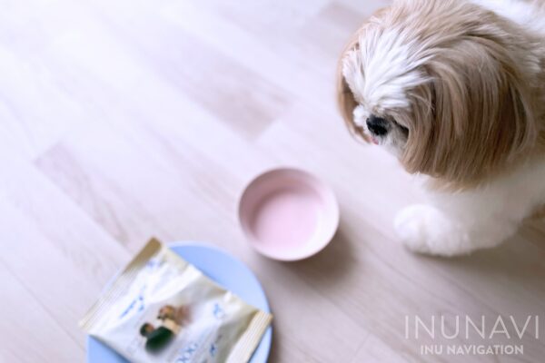 ボナシーボ　ドッグフードを完食する犬